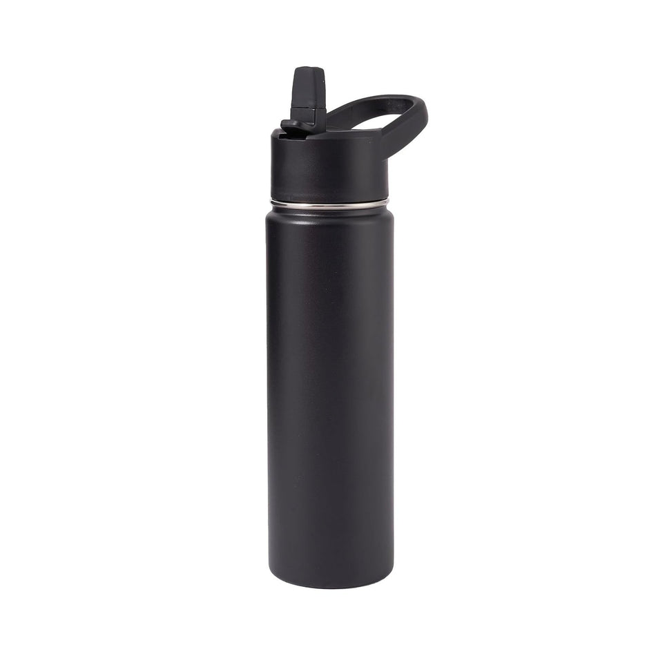 Freshsipsupply Metal Water Container with Straw and Broad Opening Cap, Stainless Steel